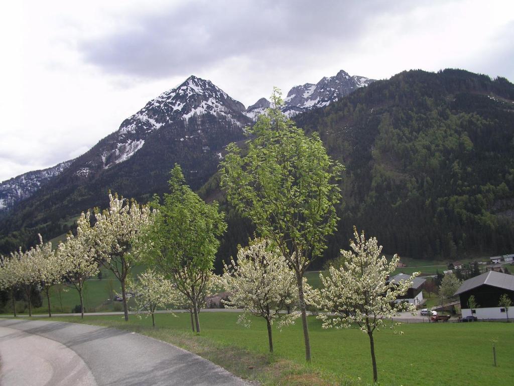 Appartement Haus Oberhaslach à Abtenau Extérieur photo