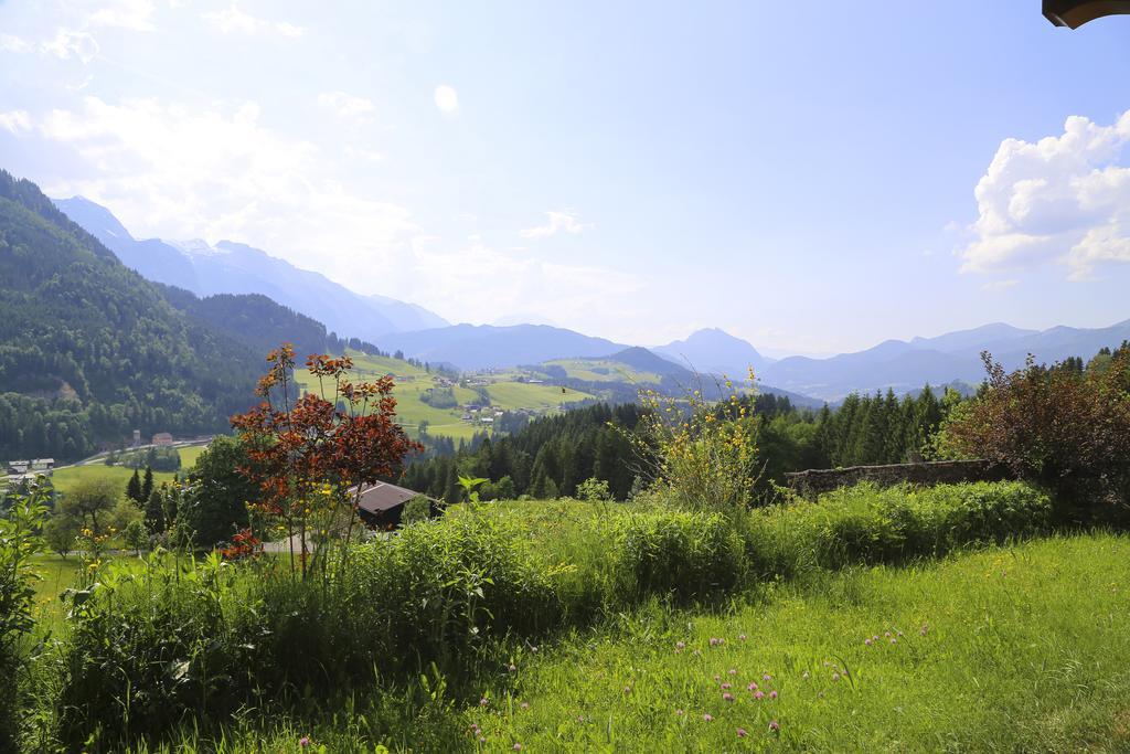 Appartement Haus Oberhaslach à Abtenau Extérieur photo